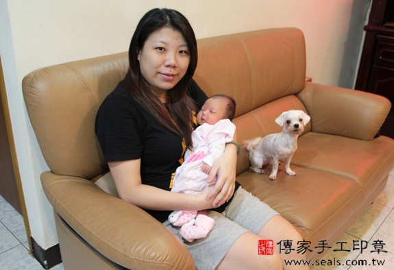 陳寶寶(新北中和區到府嬰兒寶寶滿月剃頭理髮、免費到府嬰兒剃胎毛儀式吉祥話)。到府剃頭剃胎毛主持、專業拍照、DVD光碟、證書。★購買「臍帶章、肚臍章、胎毛筆刷印章」贈送：剃頭、收涎、抓周，三選一。2015.11.18 照片2